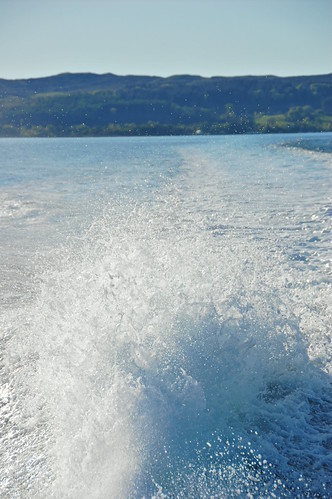 Spray 1 - CSC_0002