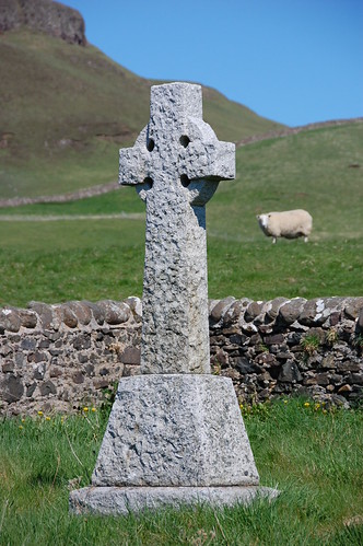 DSC_0224