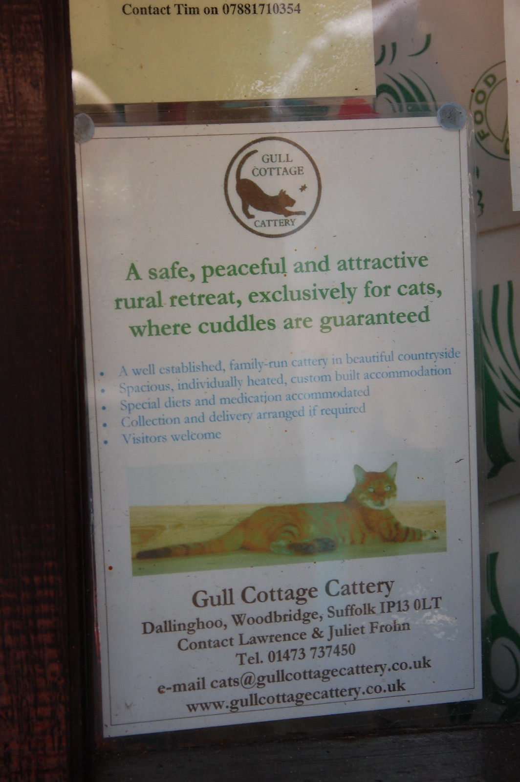 Guaranteed Cats - DSC_0695