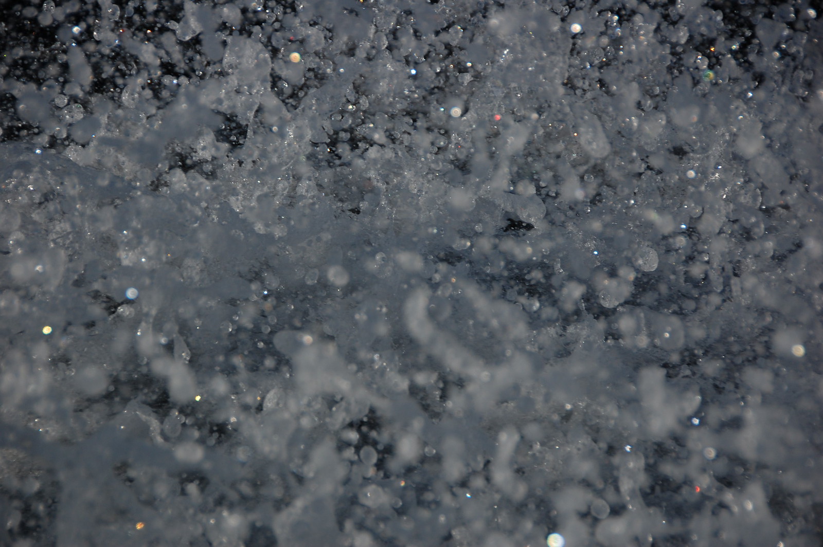 Spray 2 - DSC_0009
