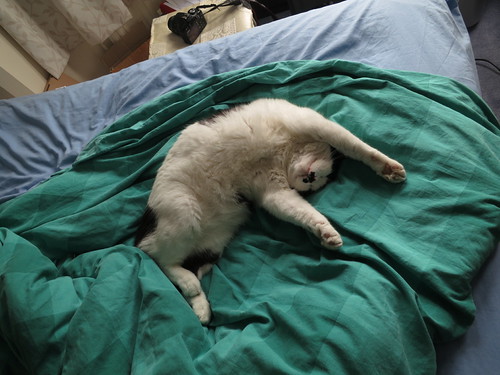 IMG_1827 - UPPCATT!