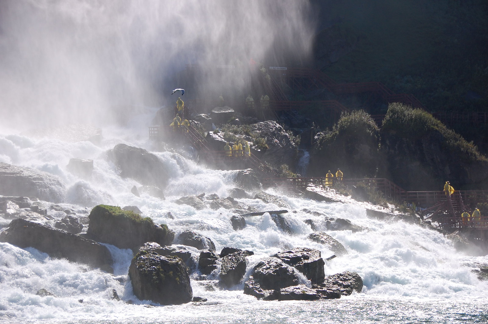 View Across Niagara - DSC_1255
