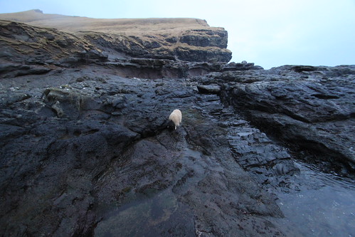 IMG_2830 - Strangers on a barren shore