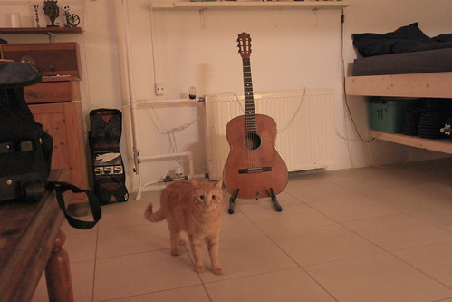 IMG_2702 - levels - CATTE plus GGUITTAR!