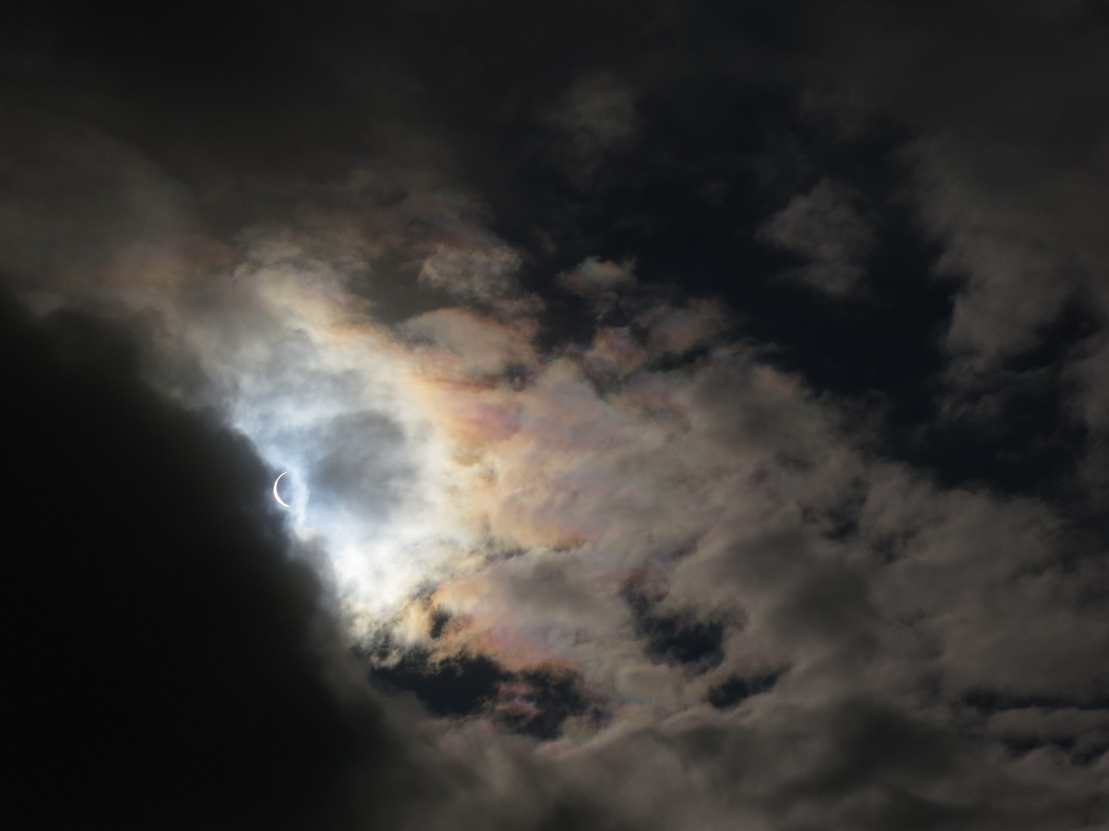 IMG_2206 - Iridescent Evanescence