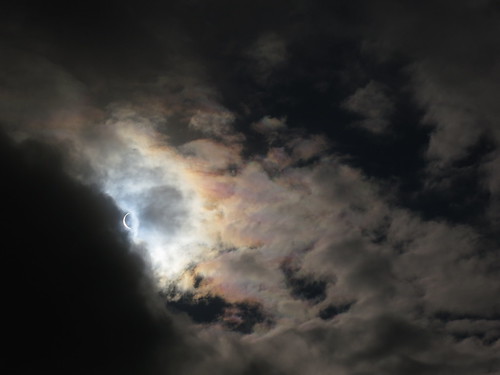 IMG_2206 - Iridescent Evanescence