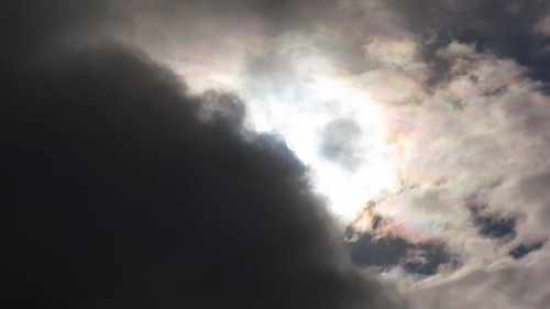 MVI_2207