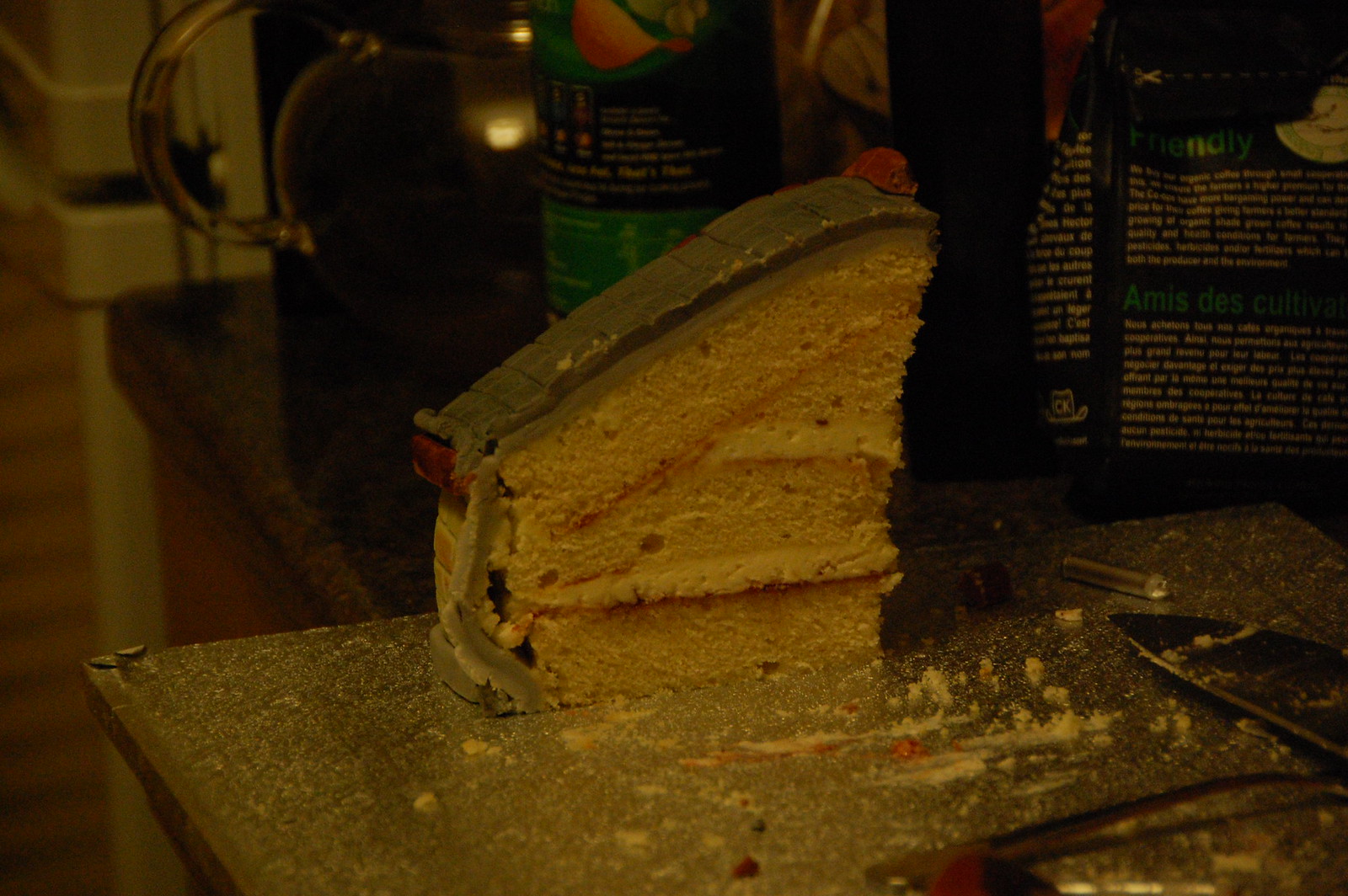 Remains of the Cake - DSC_1469