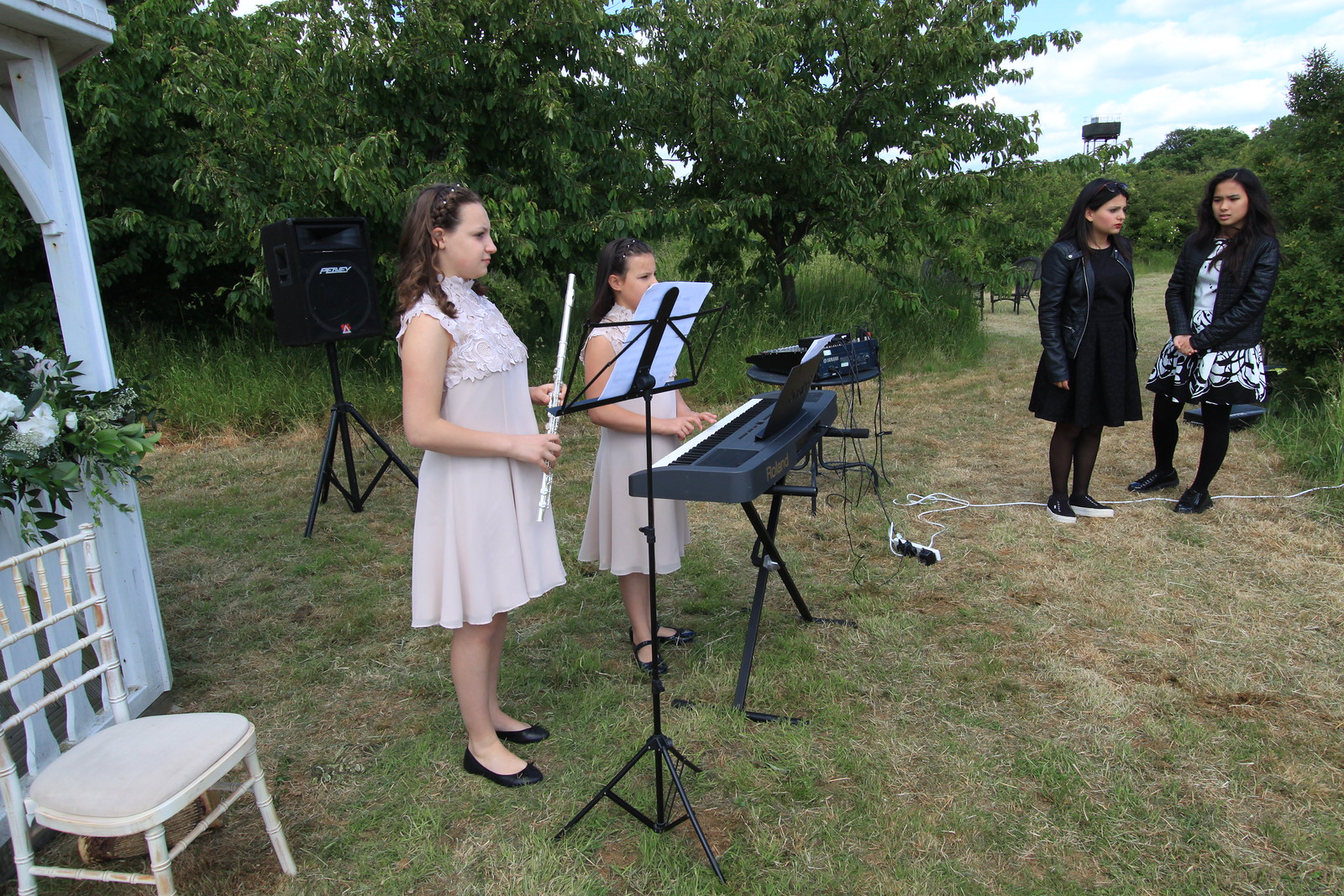 IMG_2921 - Musical Interlude