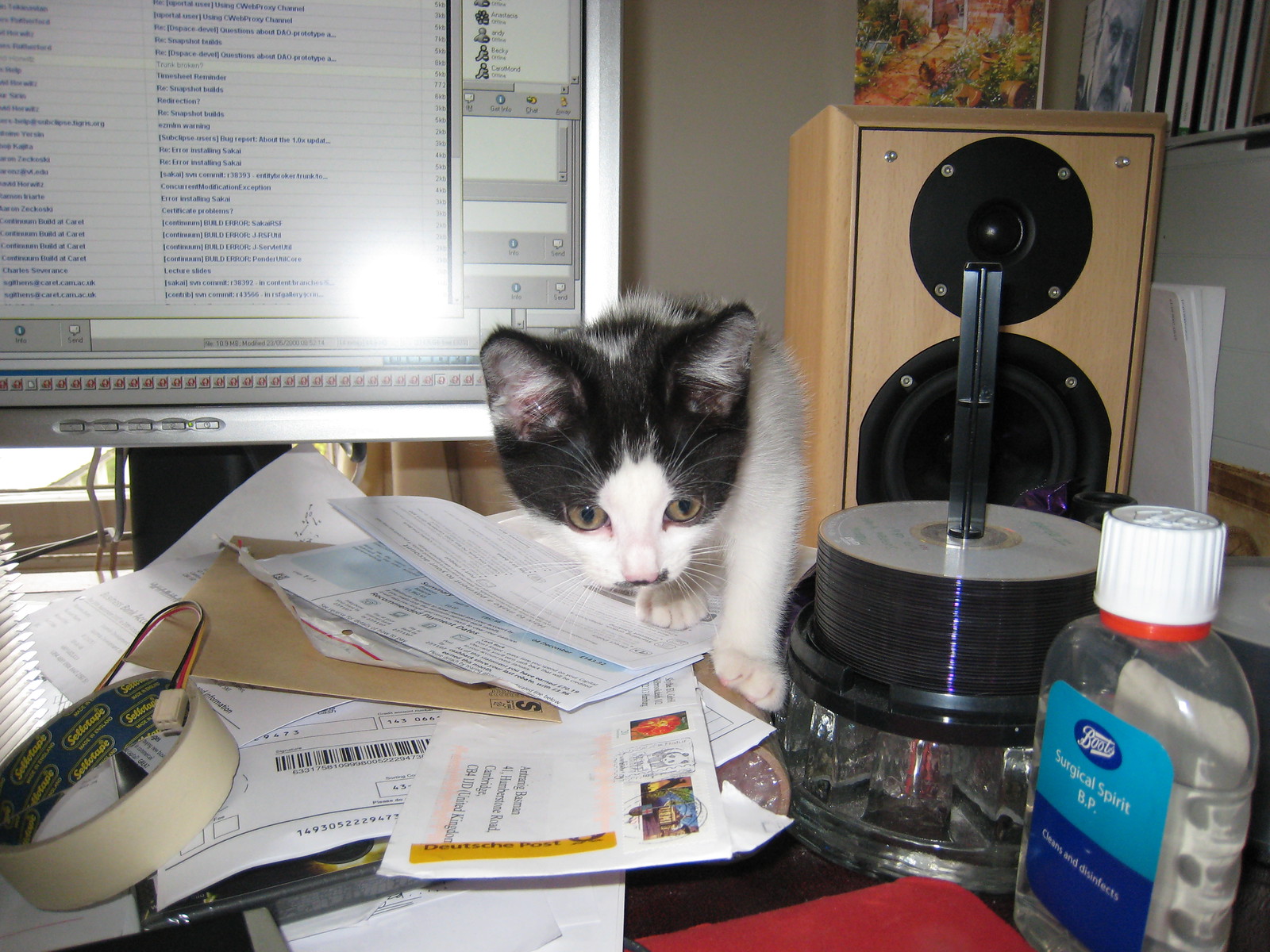 Cat Prols - IMG_0918