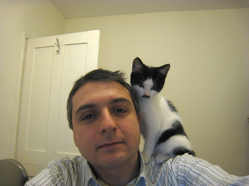 Parrot CAT - IMG_1121_adjusted