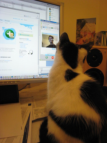 CAT watches Giles - IMG_1187