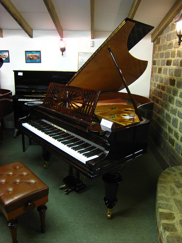 Dain's Bechstein - IMG_1262