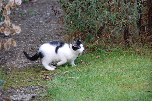 DSC_1712
