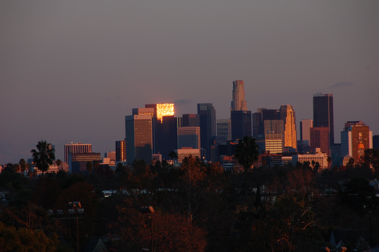 DSC_1629