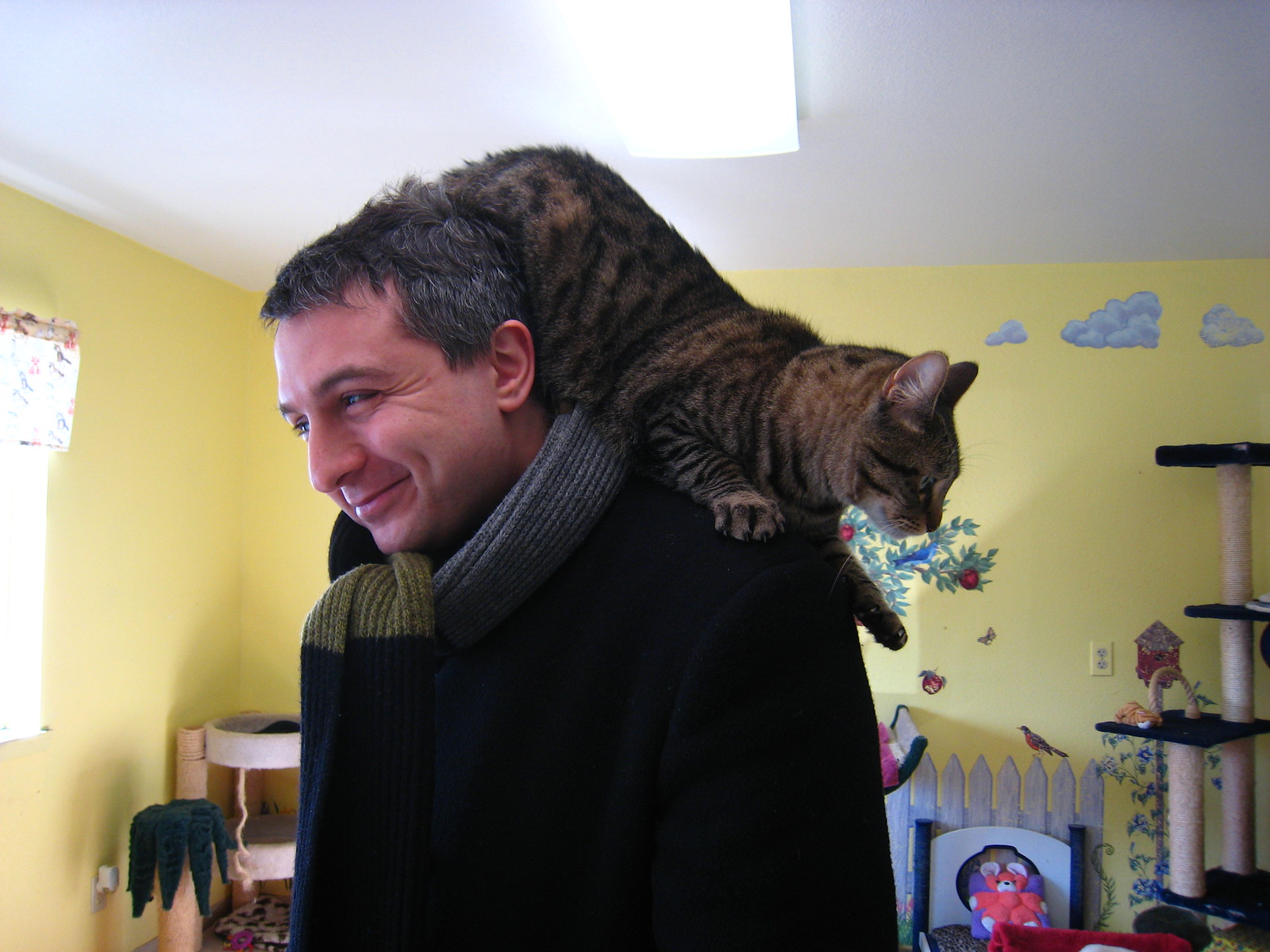 CATT CLAMBER! - IMG_1431
