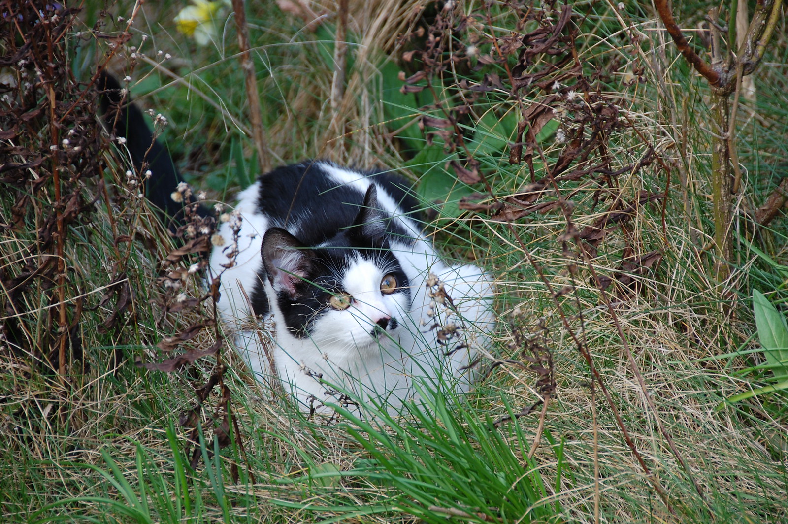DSC_1797