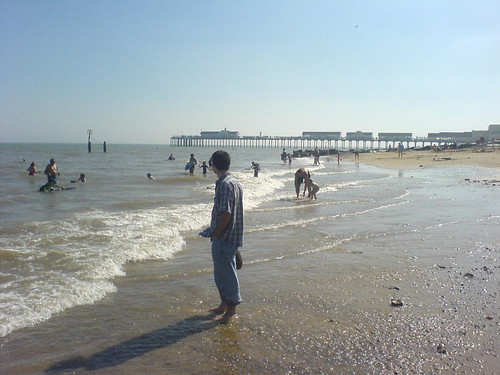 DSC00178 - Steve Shore