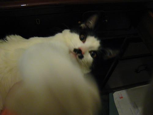IMG_1523 - CATT surprise