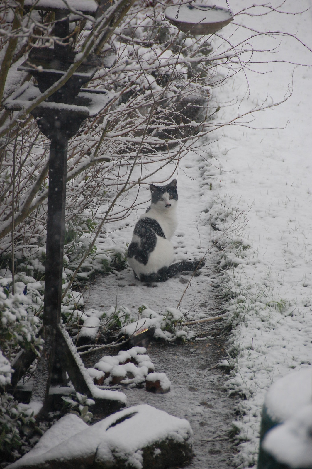DSC_2074 - CATTINSNEE!