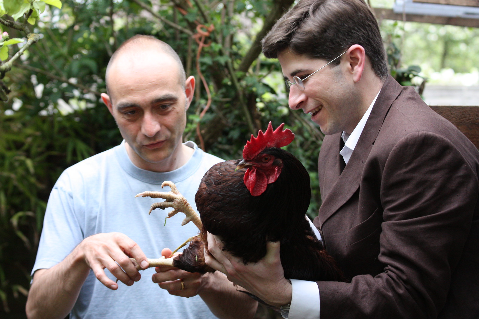 IMG_2243 - John Exhibits Chicken