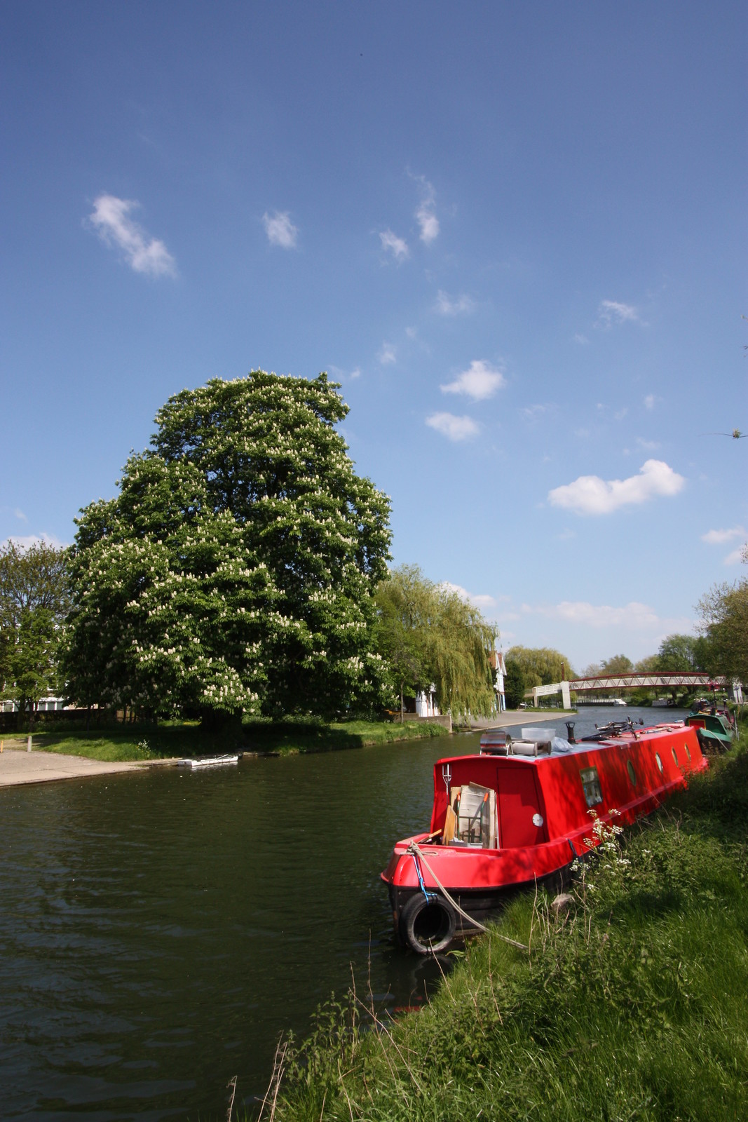 IMG_2284 - Cam Idyll