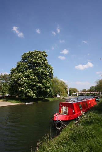 IMG_2284 - Cam Idyll