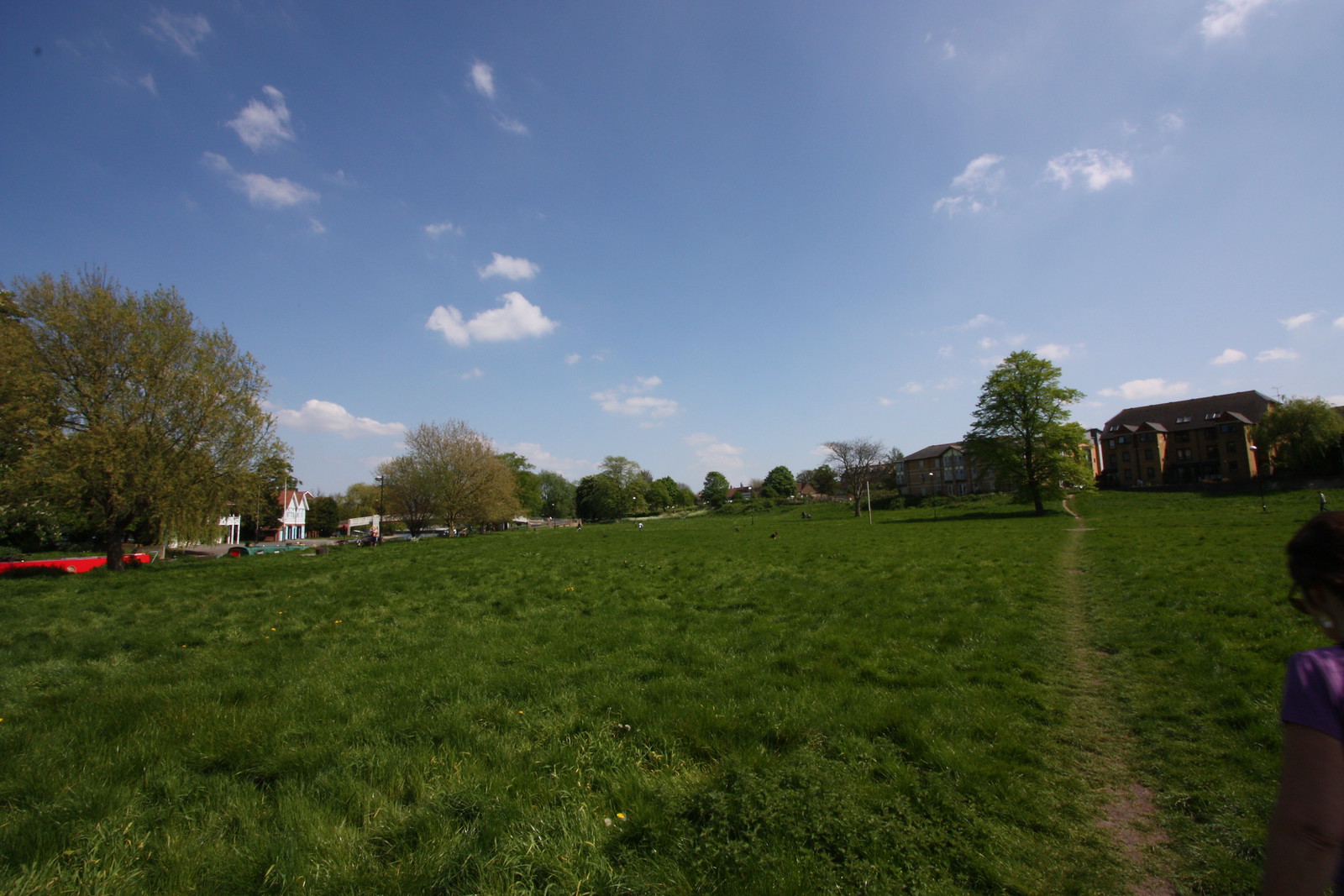 IMG_2286 - Midsummer Vista