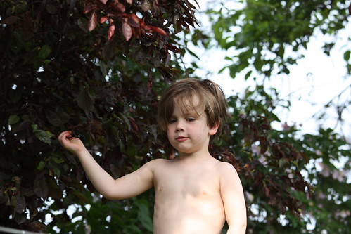 IMG_2325 - Julius Ladder