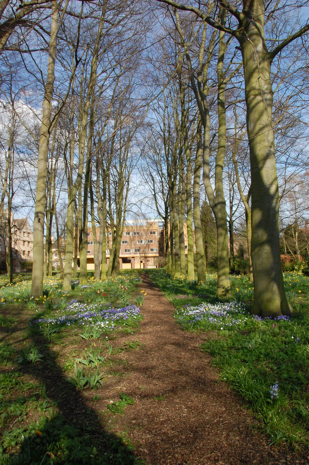 DSC_2138 - Queens' Avenue