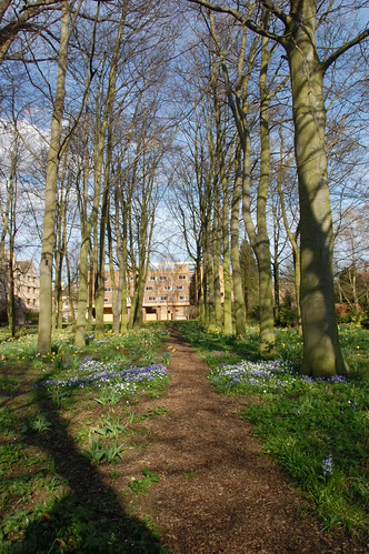DSC_2138 - Queens' Avenue