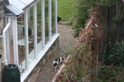 IMG_2225 - CAT sees off CATT