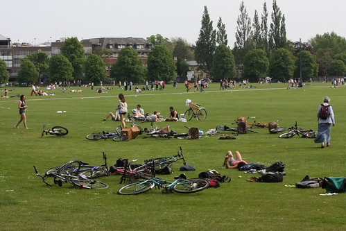 IMG_2319 - Parker's Bicycle Wreckage