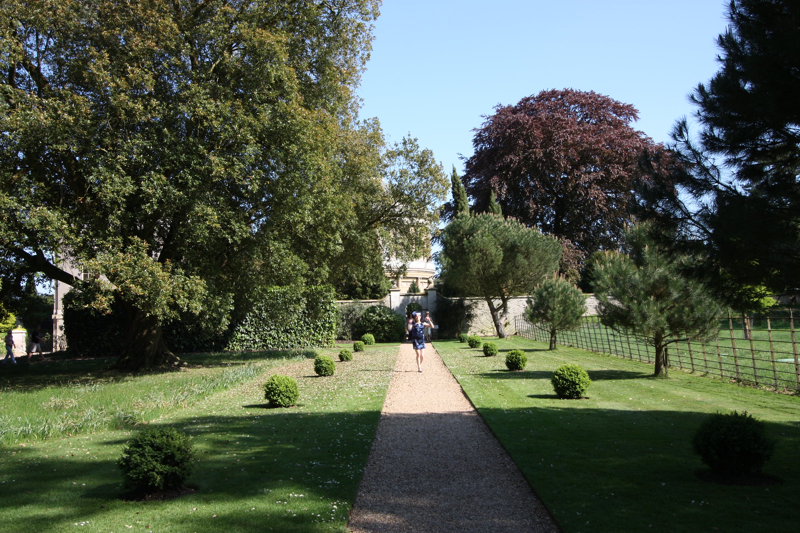IMG_2425 - A Clear Avenue
