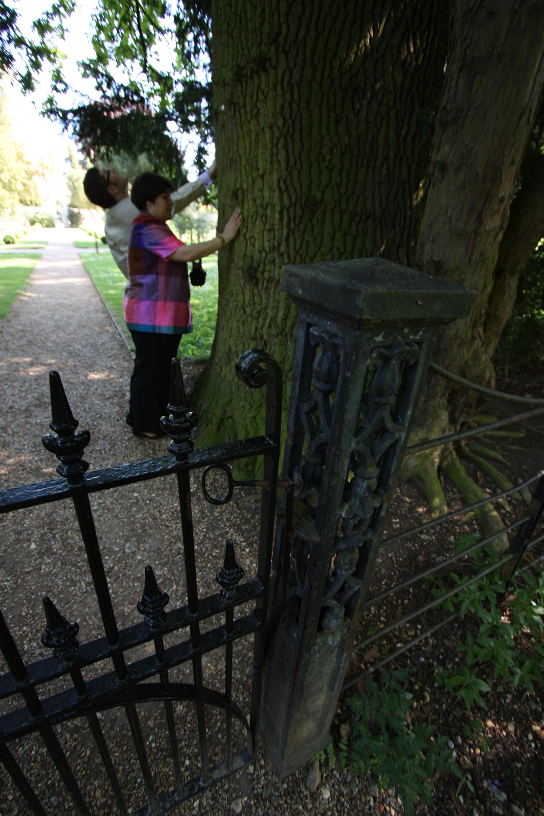 IMG_2421 - Perspectival Gate