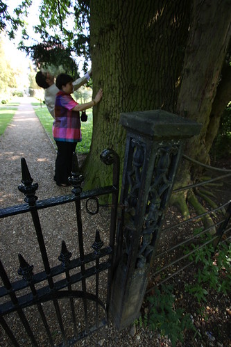 IMG_2421 - Perspectival Gate
