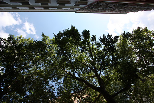 IMG_2540 - Prenzlauer Sky