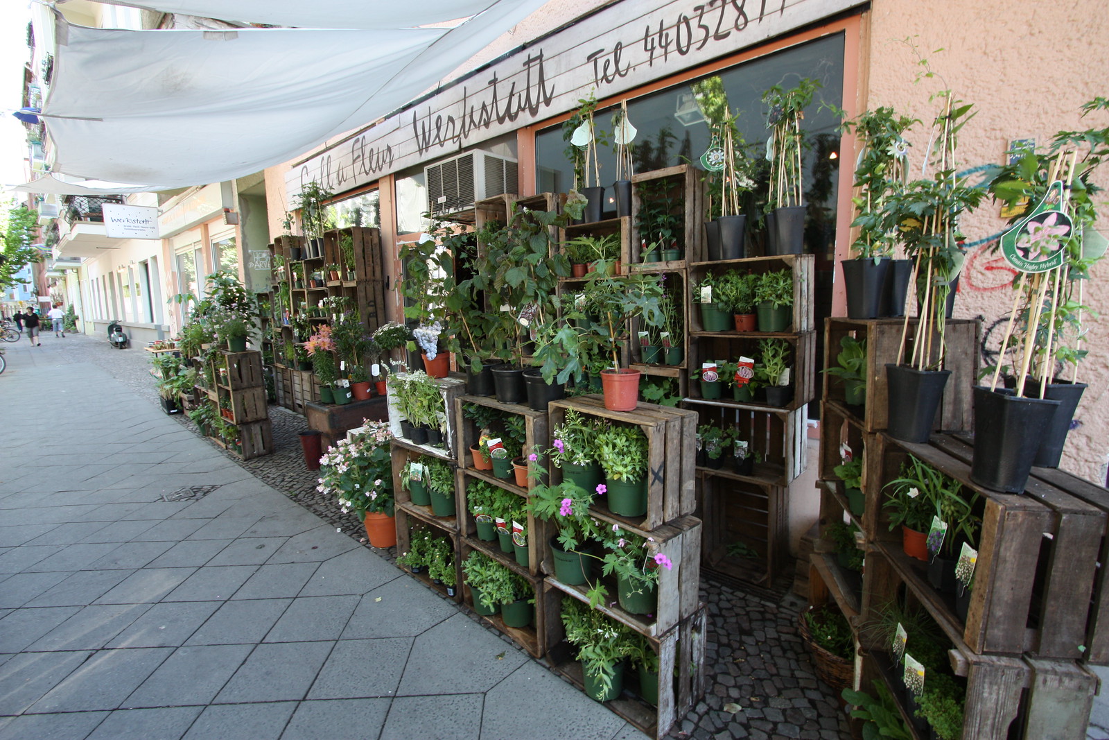 IMG_2638 - Prenzlauer Plants