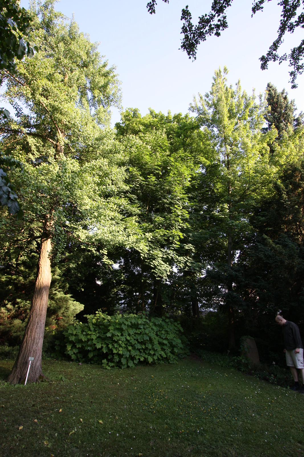IMG_2559