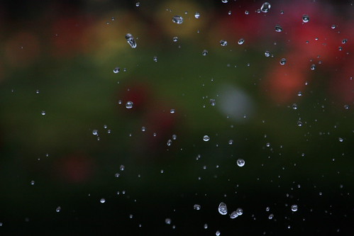 IMG_2790 - Drops/4000