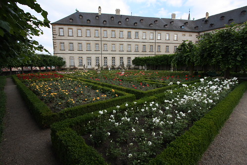 IMG_2763 - Bamberg Rose Garden
