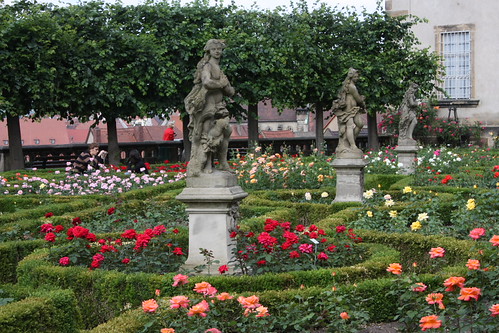 IMG_2780 - Bamberg Rose Garden