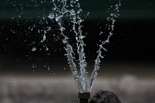 IMG_2801 - Frozen Fountain
