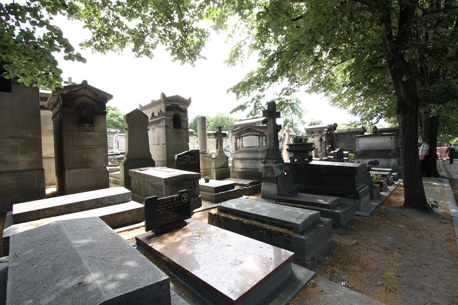 IMG_3100 - Pere Lachaise Glare
