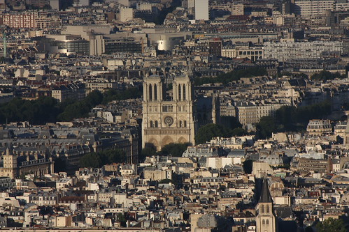 IMG_3090 - Dame from Tower