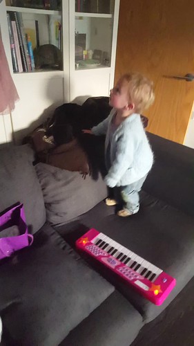 20180224_171023 - BINGJAMMES!