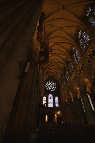 IMG_3208-gamma - Chartres Vaulting