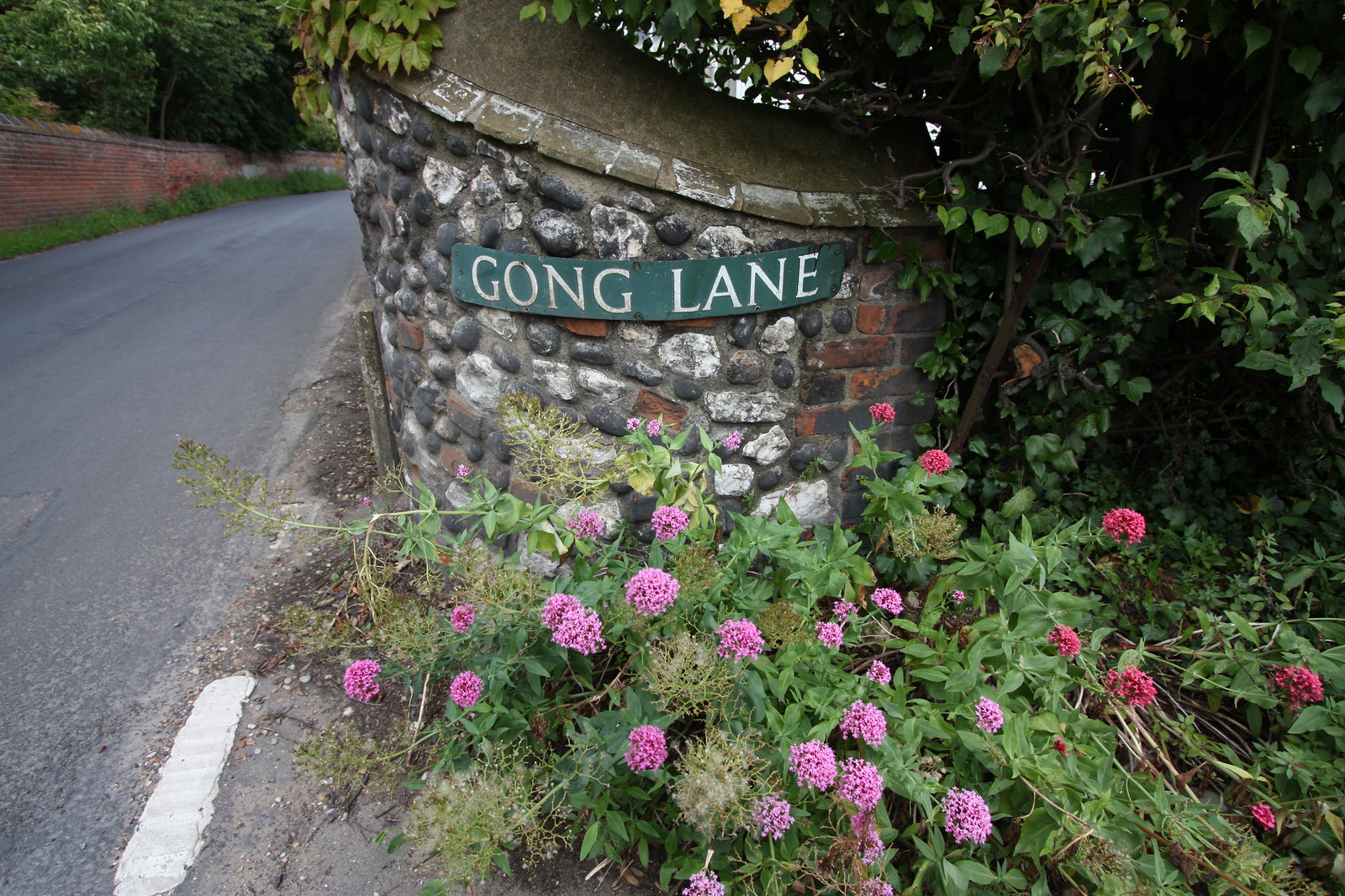 IMG_3302 - Gong Lane
