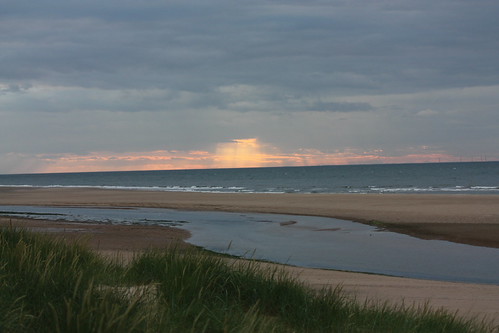 IMG_3341 - Blast from a Distance