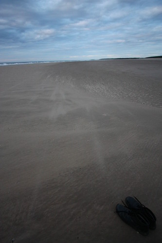 IMG_3356 - Shoe Expanse